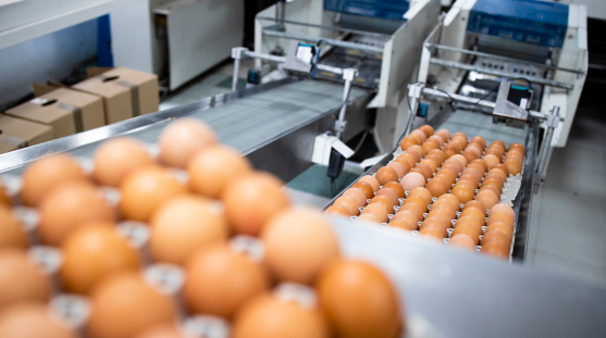 Linear motors for industrial packaging and processing