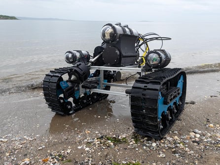 Meadow Maker on Shore (1)