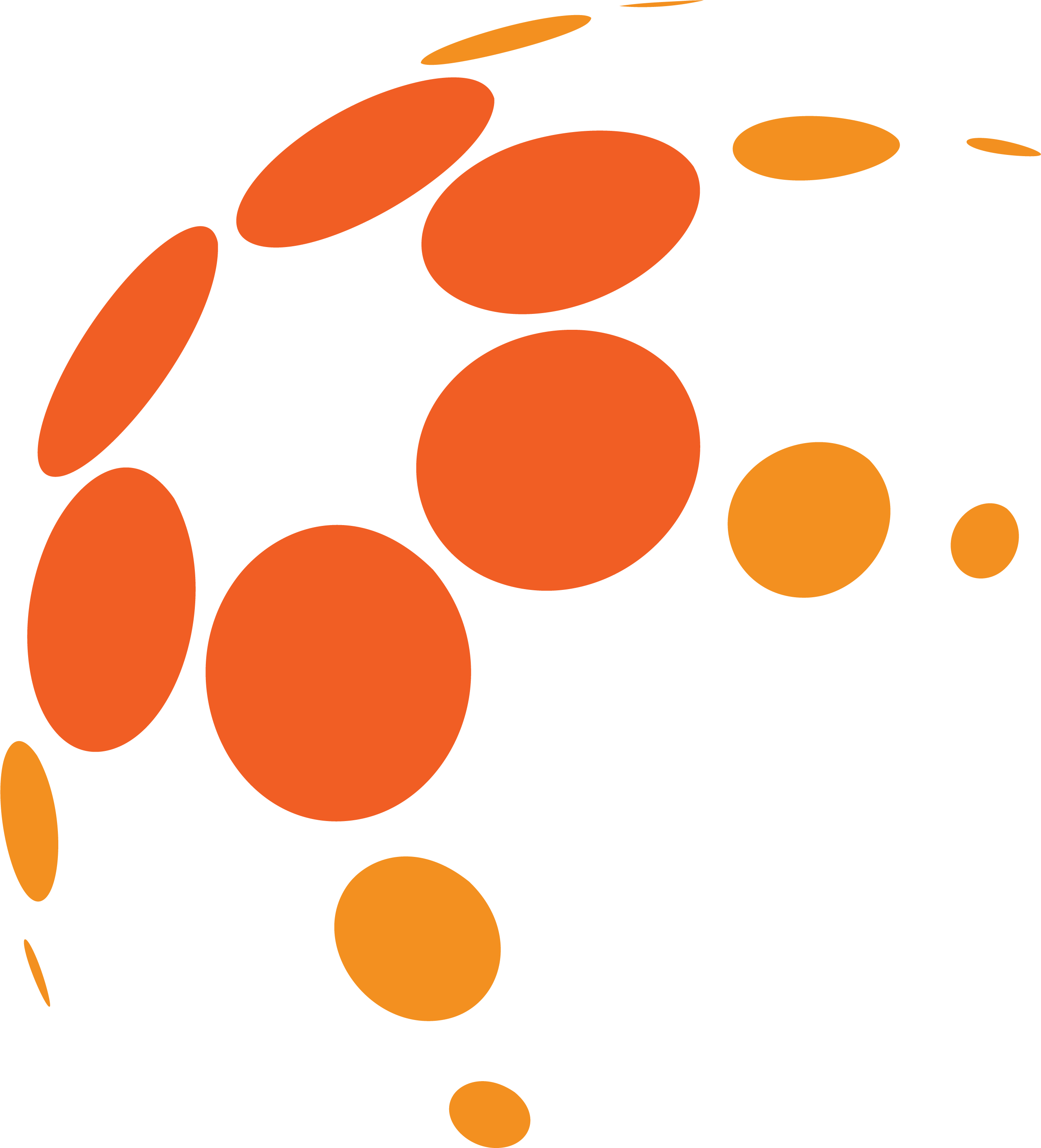 iriscontrols software